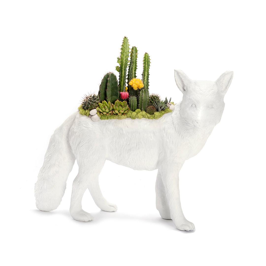 Life Size Animal - Fox