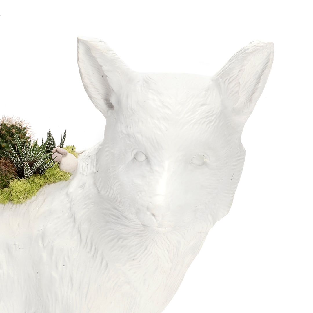 Life Size Animal - Fox