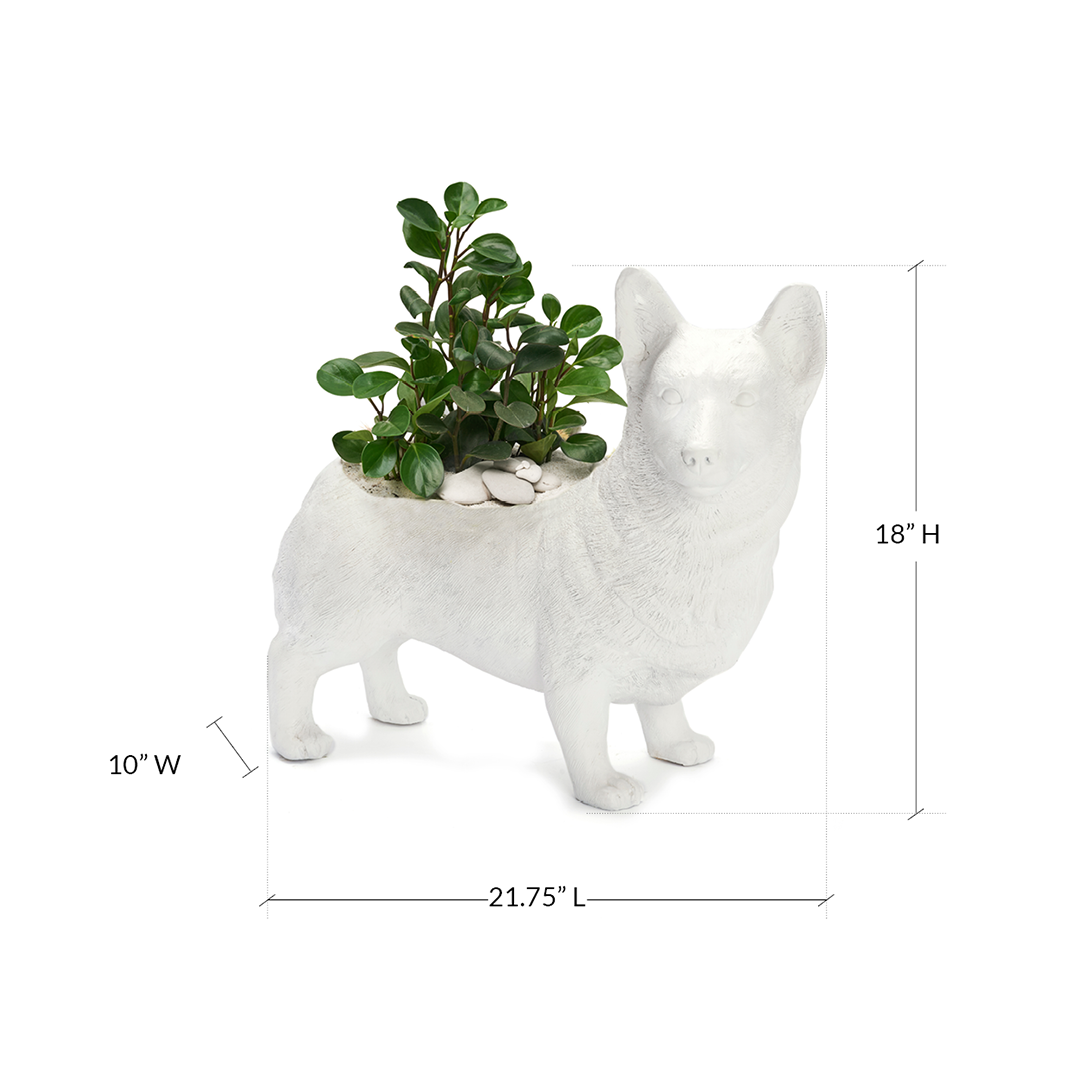 Life Size Animal - Corgi