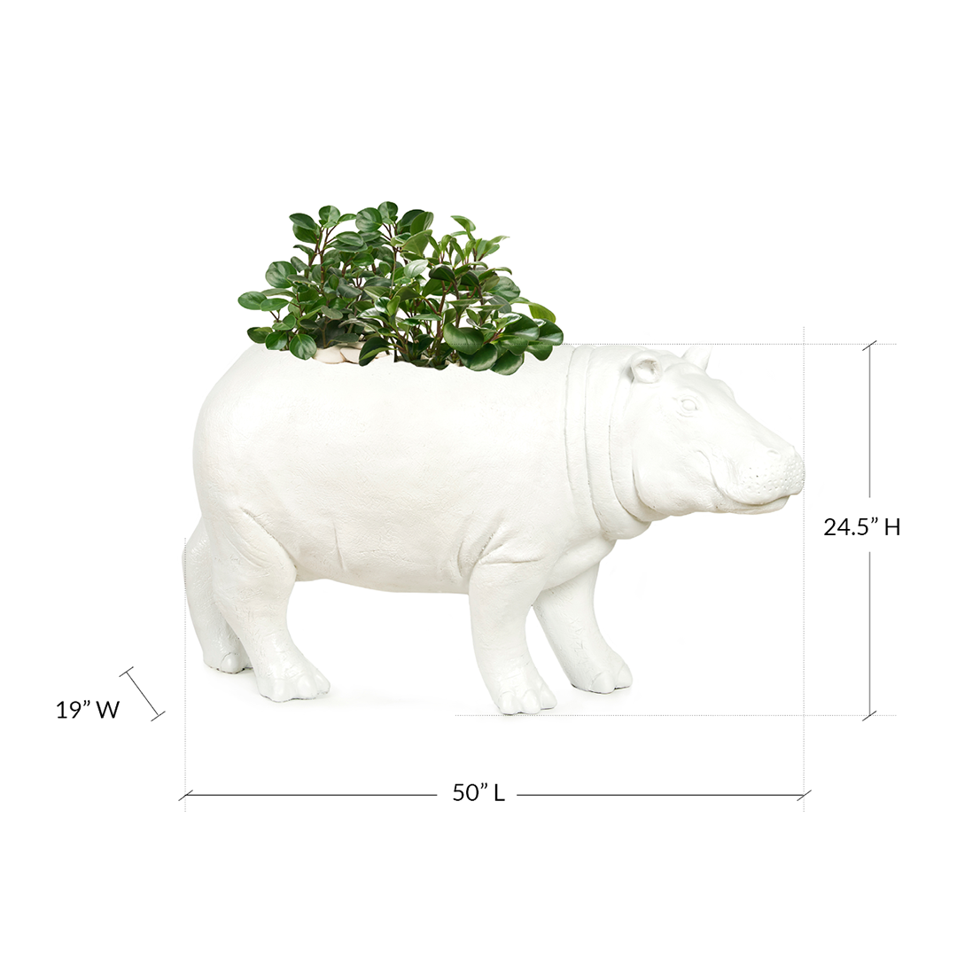 Life Size Animal - Hippo