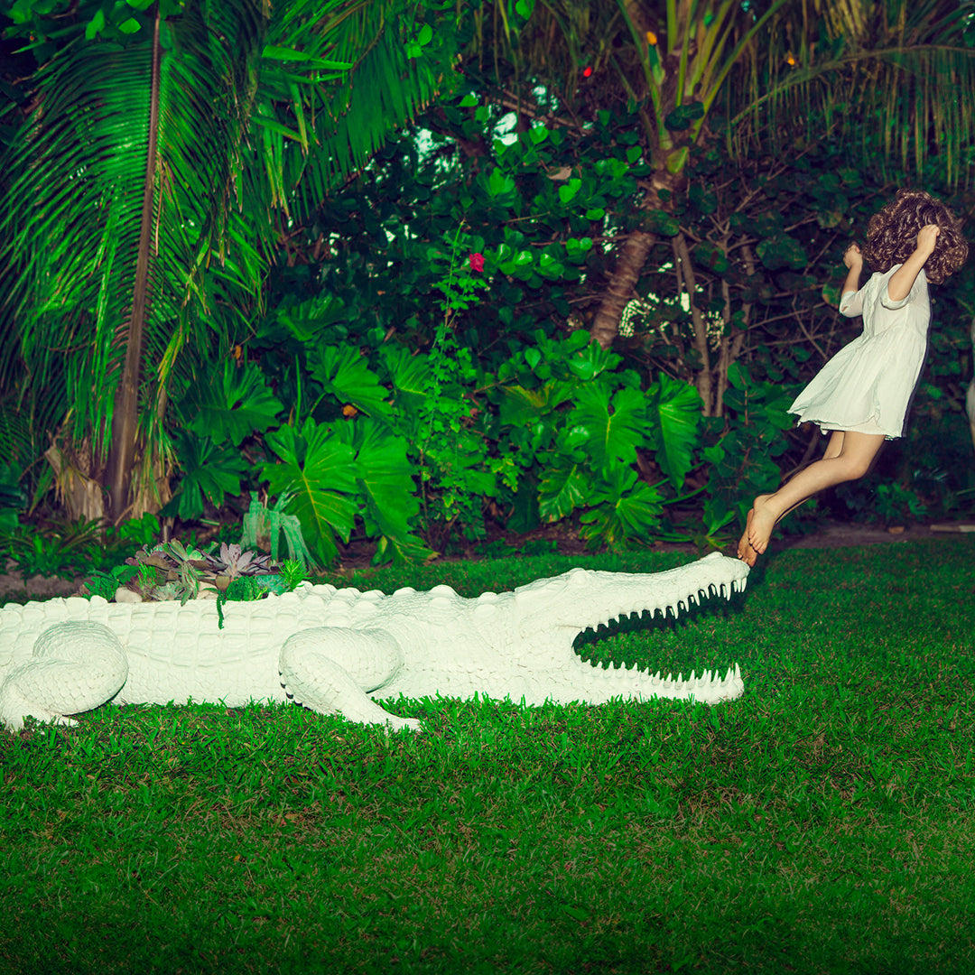 Life Size Animal - Crocodile Large