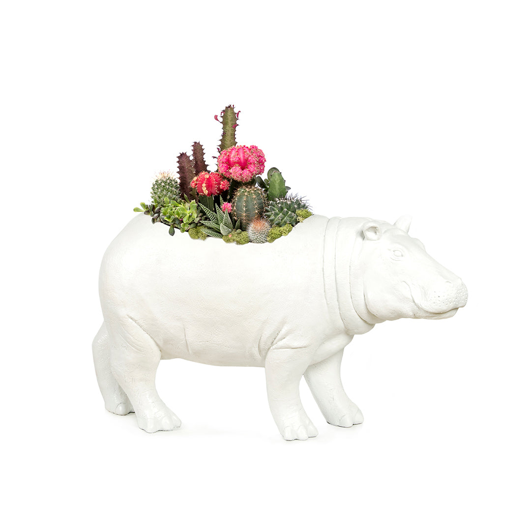 Life Size Animal - Hippo