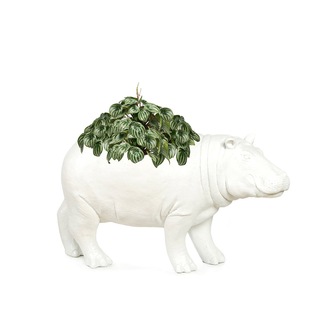Life Size Animal - Hippo