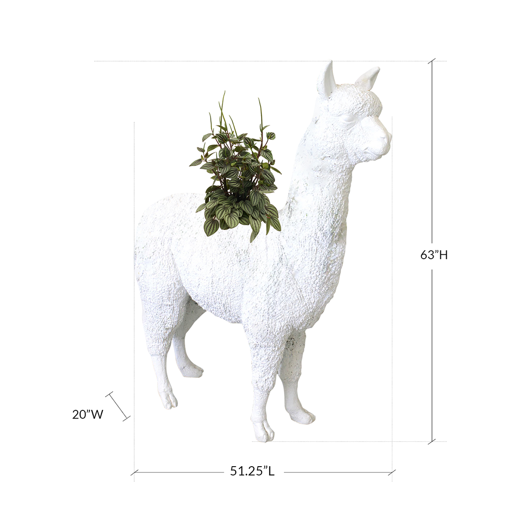 Life Size Animal - Alpaca Plant The Future