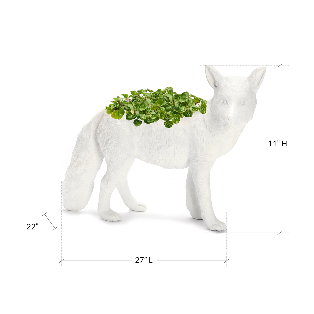 Life Size Animal - Fox