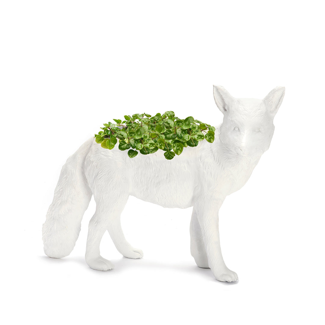 Life Size Animal - Fox