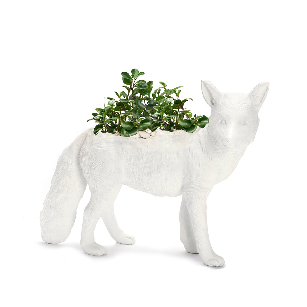 Life Size Animal - Fox