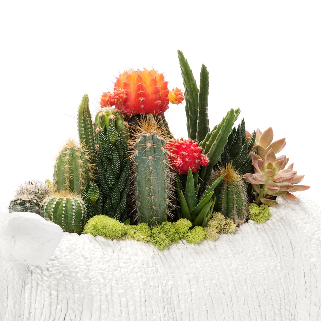 Life Size Animal - Lamb Plant the Future