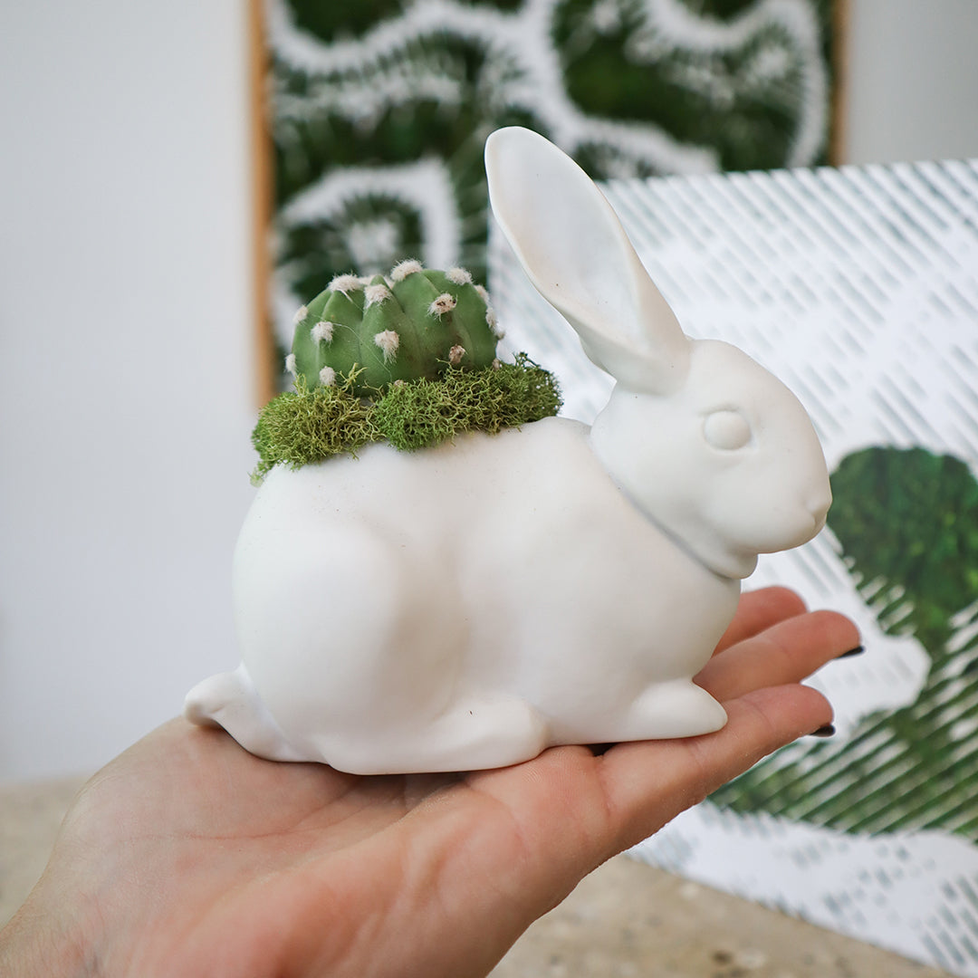 Lladró Porcelain - Bunny