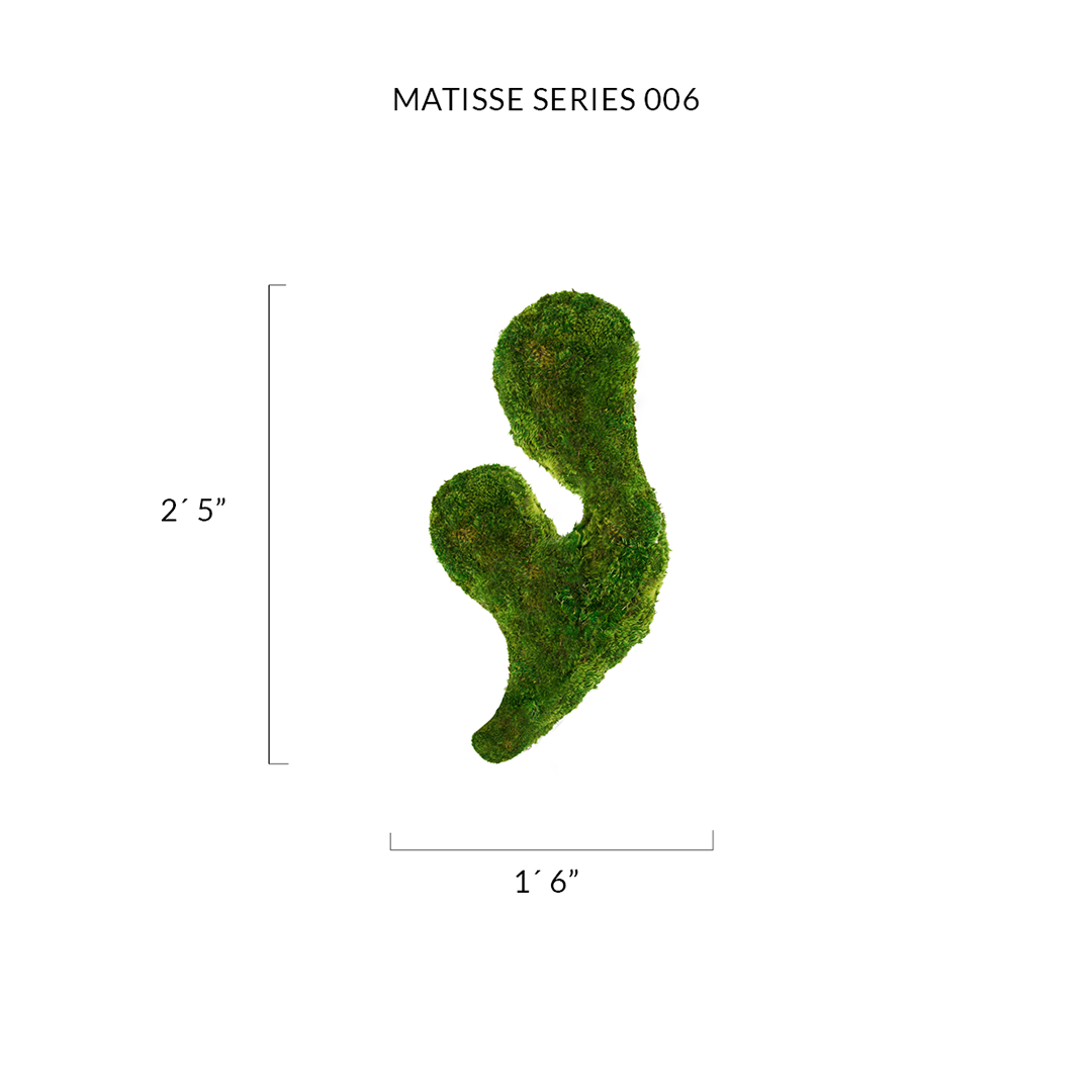 Matisse Moss Cut-Out Series No. 005 Plant the Future