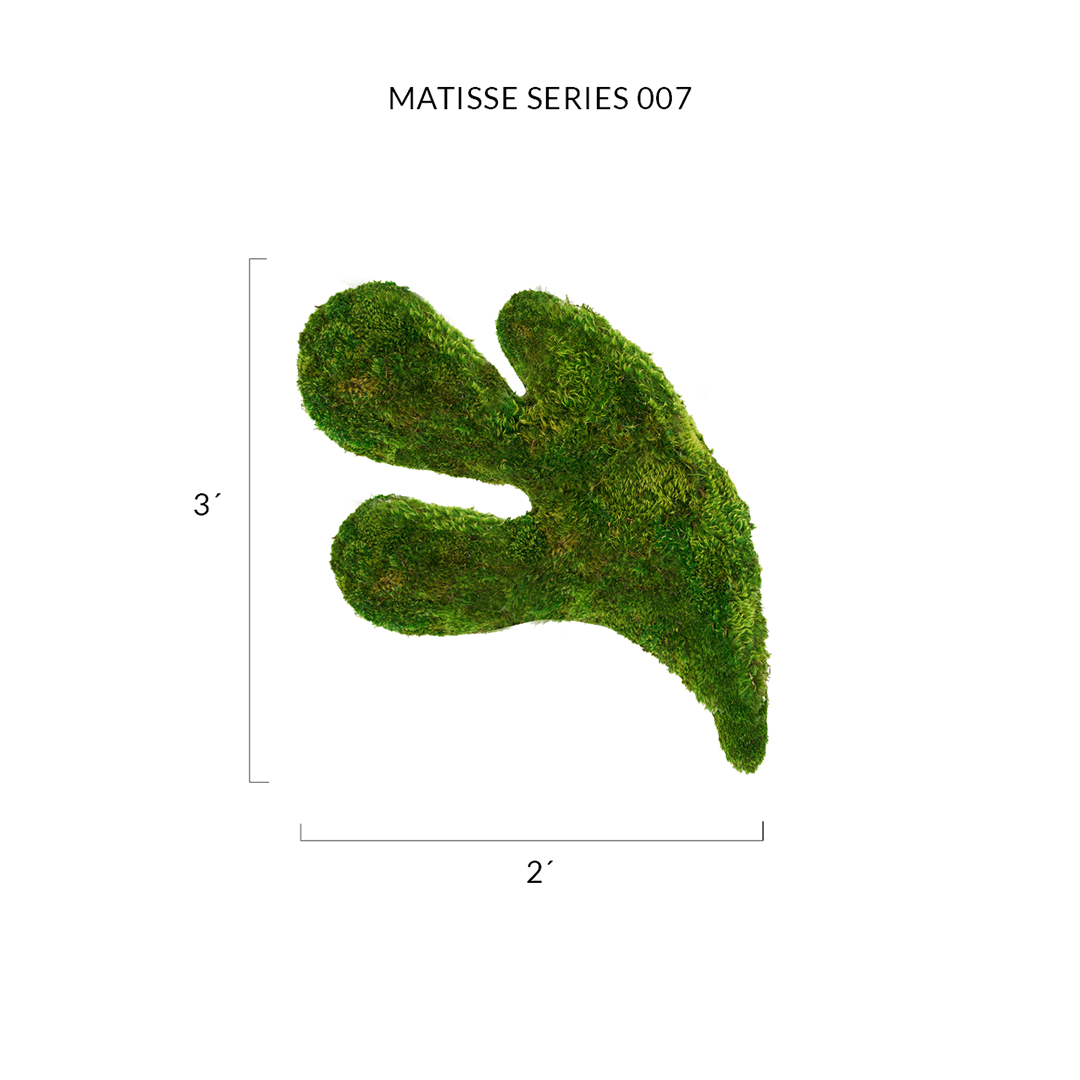 Matisse Moss Cut-Out Series No. 007 Plant the Future
