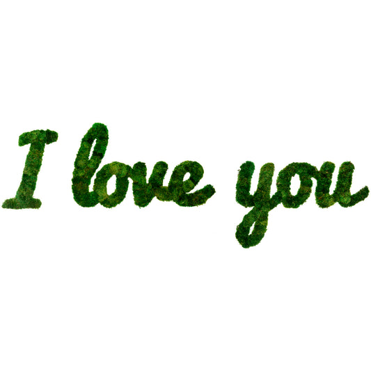 Moss Sign - "I Love You" Cursive