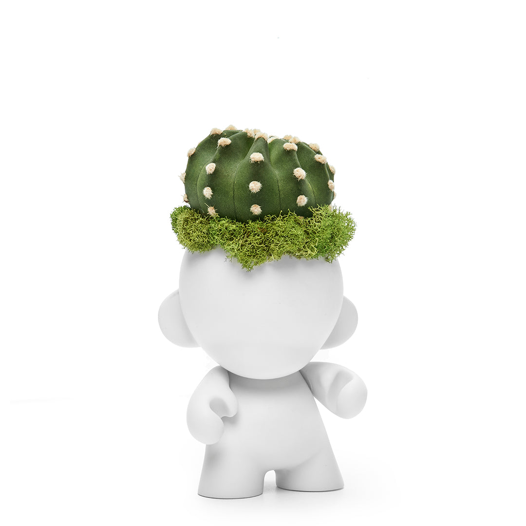 Munny Mini Garden