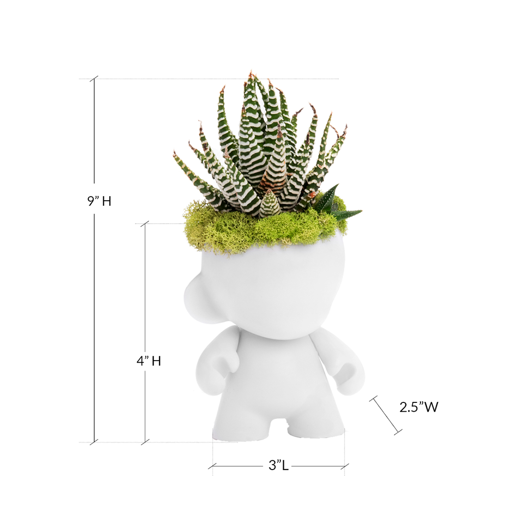 Munny Mini Garden