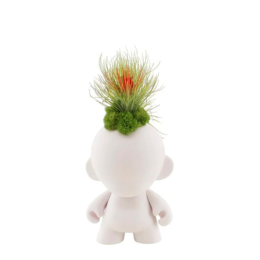 Munny Small Garden