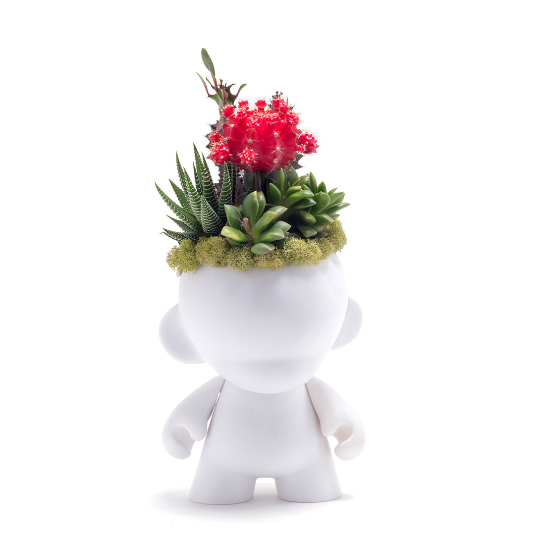 Munny Small Garden