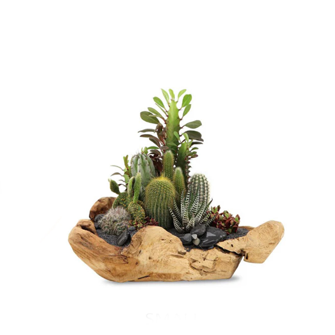 Natural Wood Bowl - Green Garden