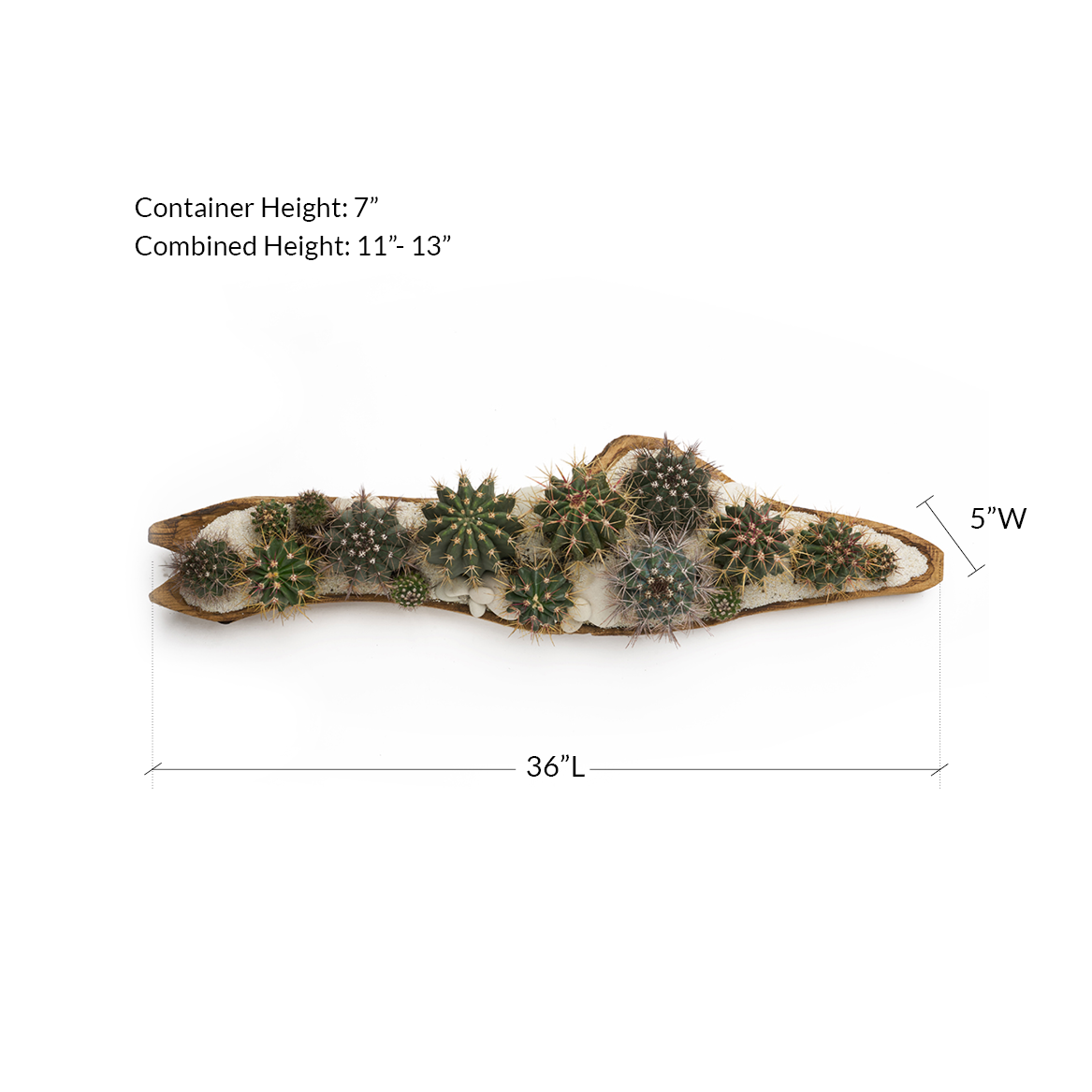 Natural Wood Trough - White Low Green Garden XL