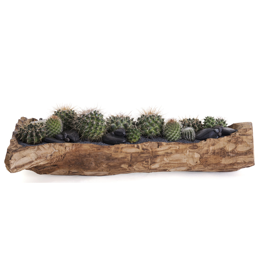 Natural Wood Trough - Low Green Garden