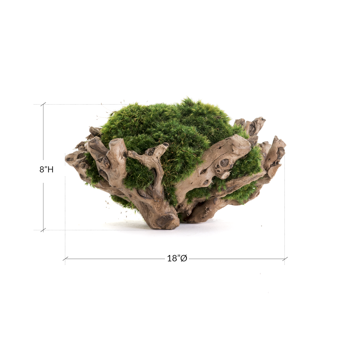Natural Wood base Bowl with Moss (8" H x 18" W)