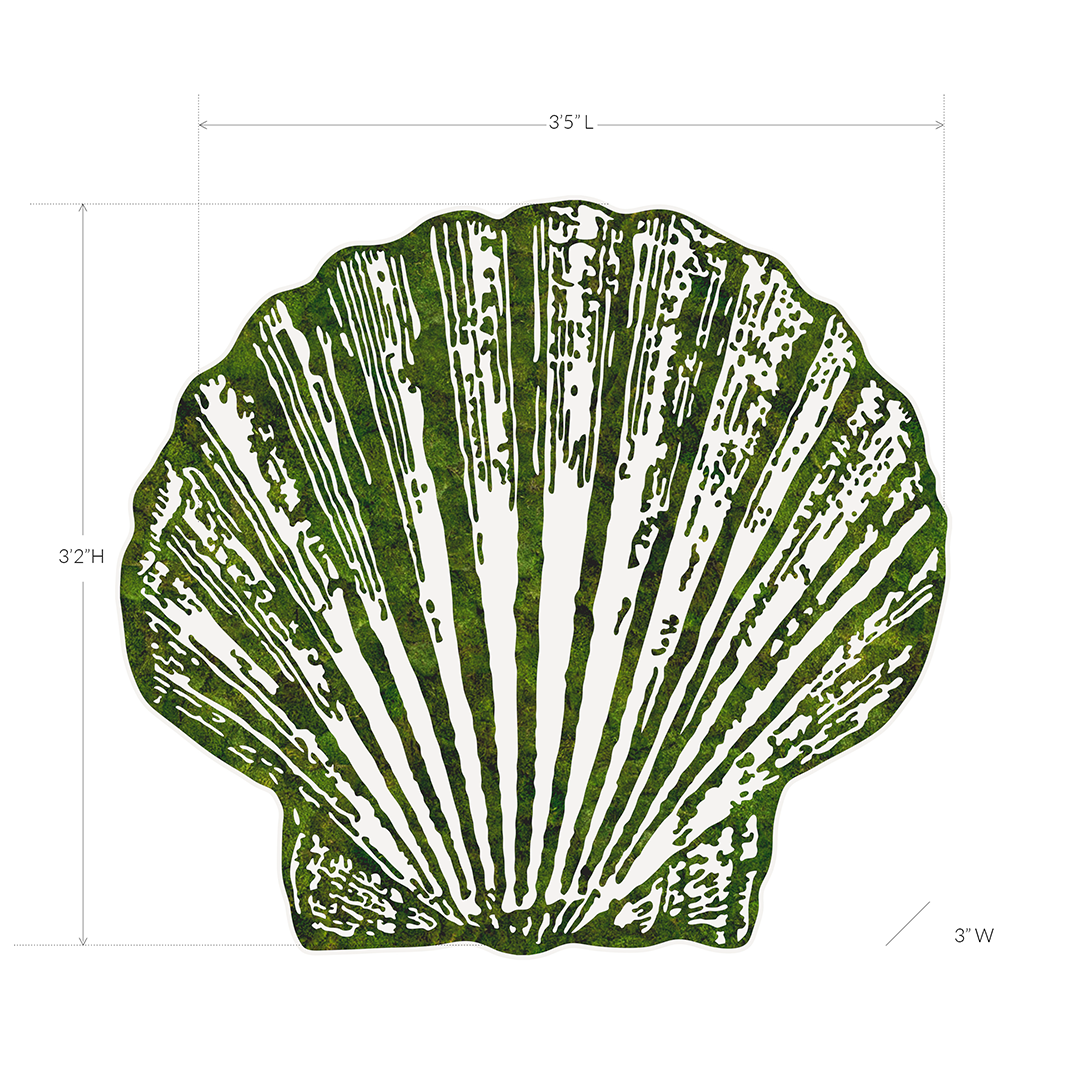 "Miami Seashell N° 222" 2024 Plant the Future