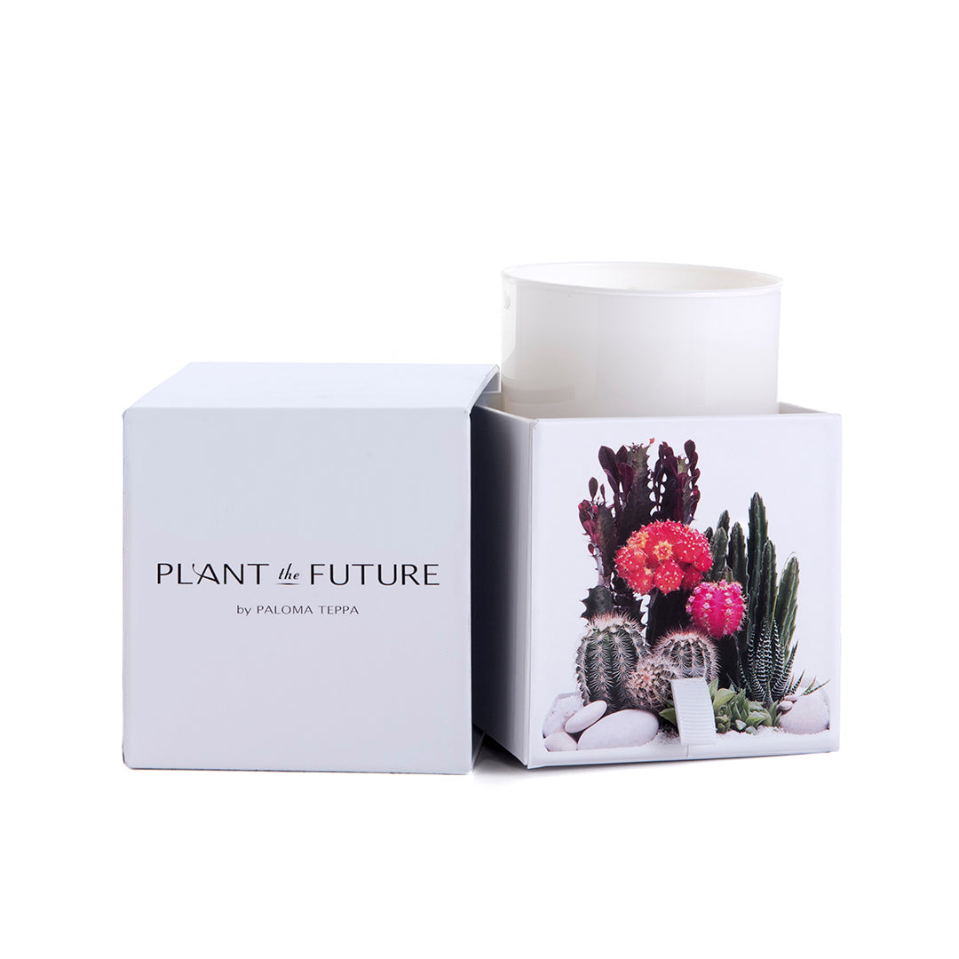 Biophilia Candle Plant the Future