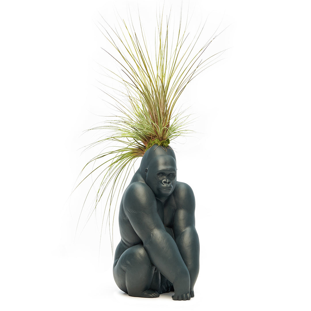 Lladró Porcelain - Black Gorilla With Airplants