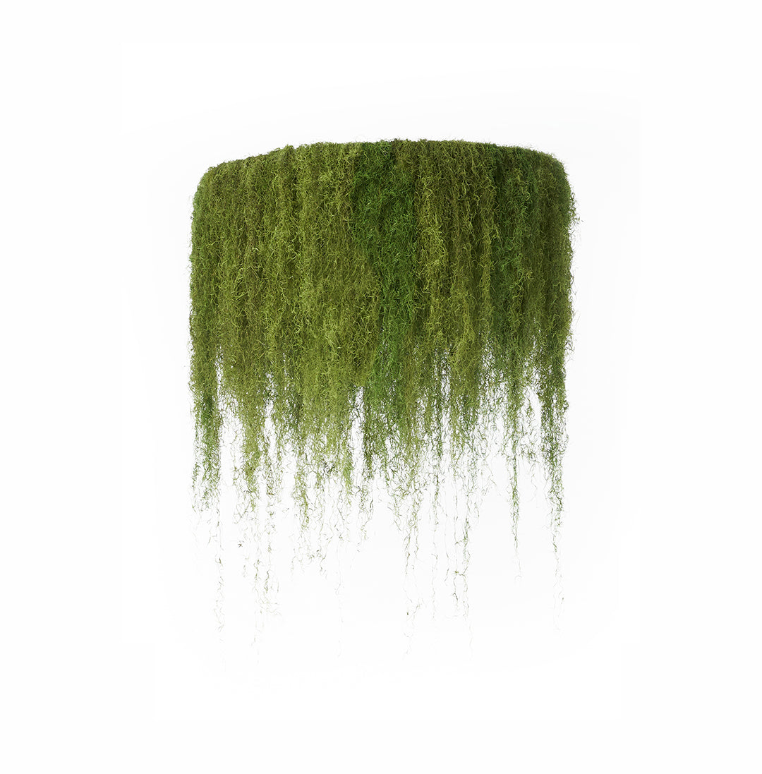 Spanish Moss Hanging Garden - 1 Tier