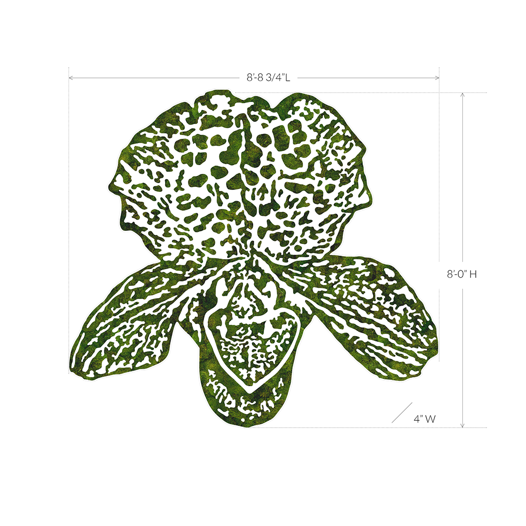 “Lady Slipper” (2024) Plant the Future