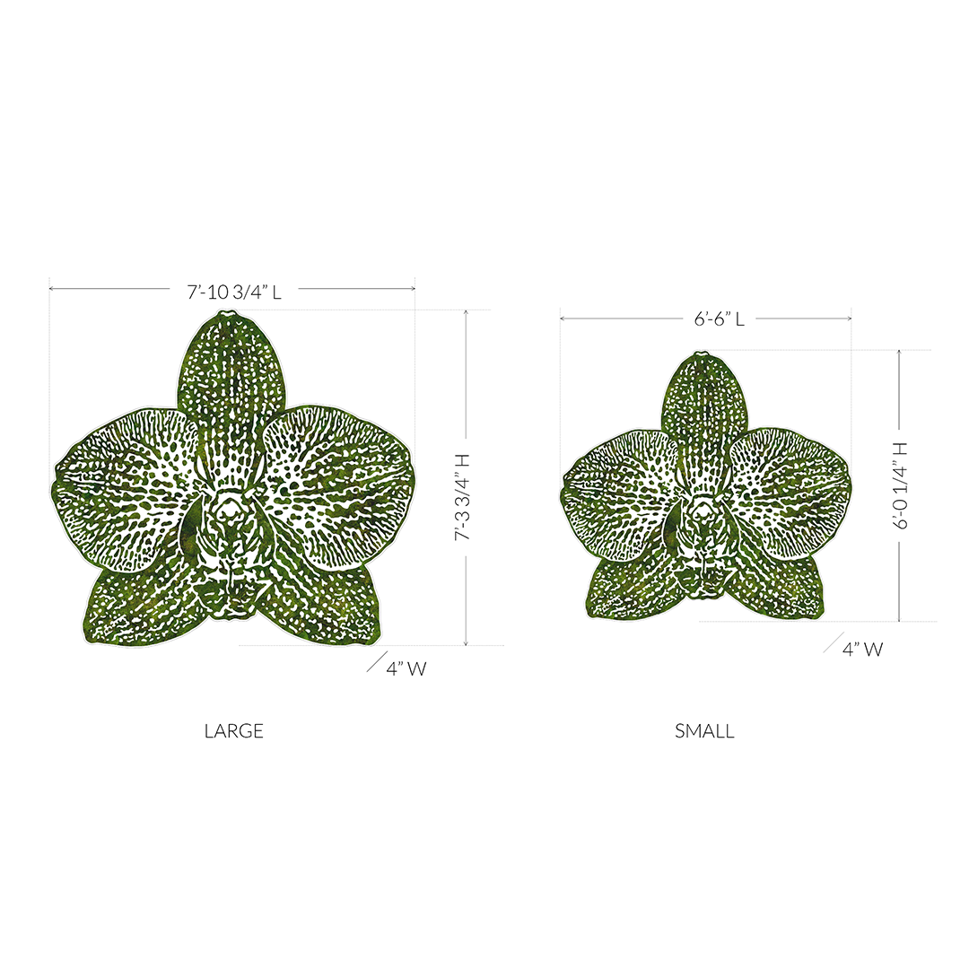 “Phalaenopsis” (2024) Plant the Future