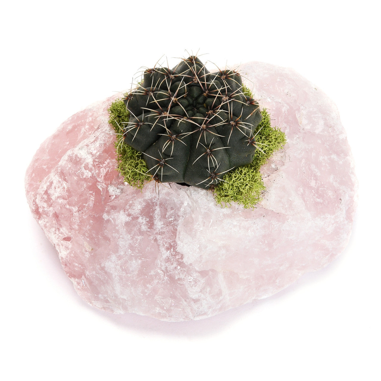 Rose Quartz Garden