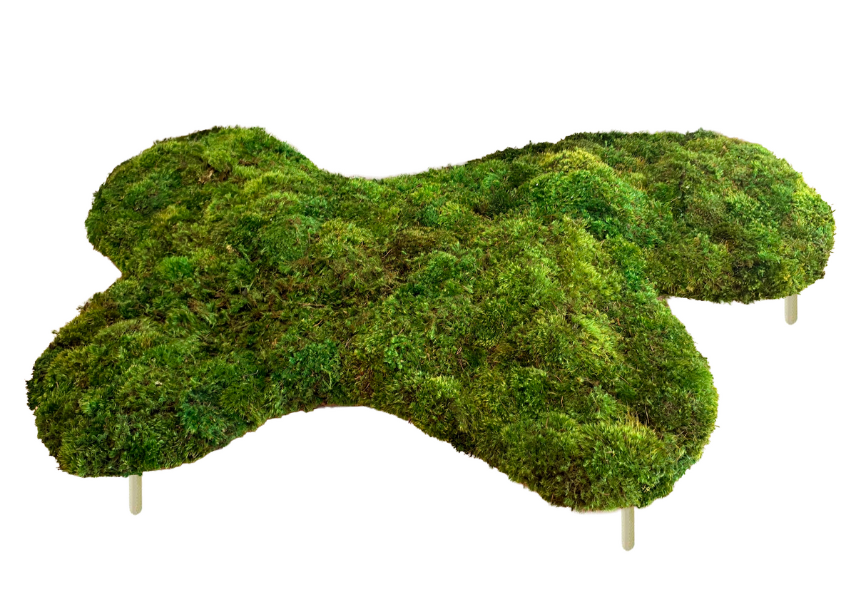 Moss Bean Large by Paloma Teppa