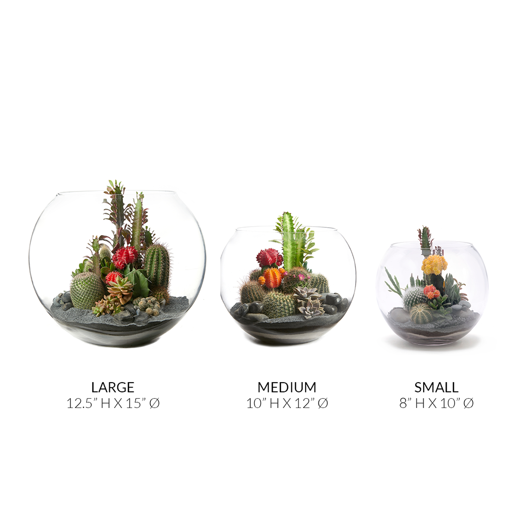 Fishbowl Glass Terrarium - Black