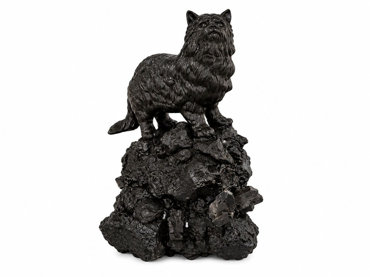 Tequesta Kitty Small by Paloma Teppa