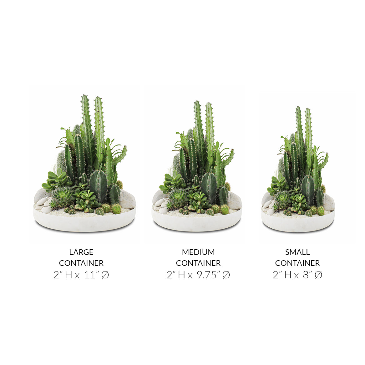 Tokyo White - Green Garden