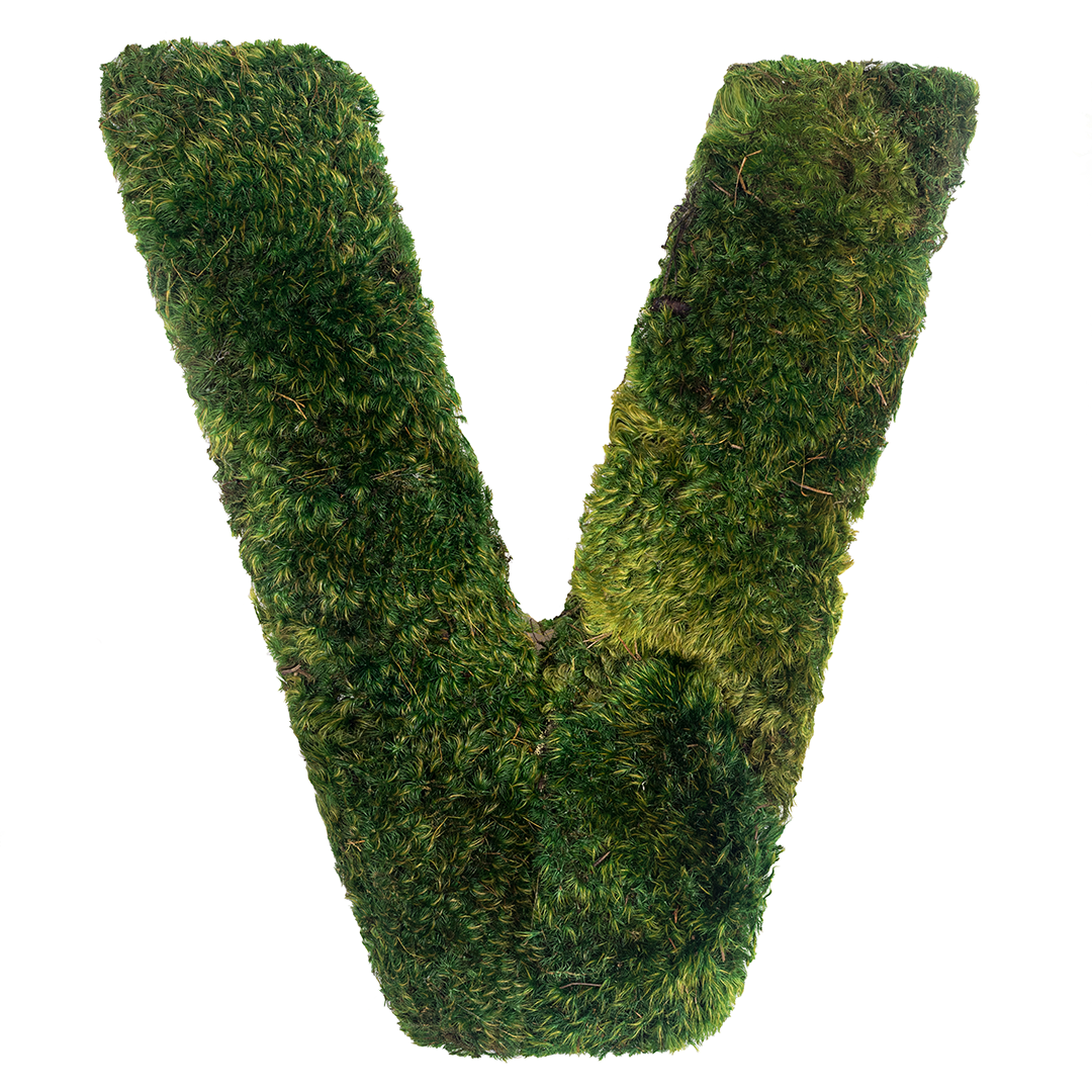 Moss Sign - By Letter - Block Letters