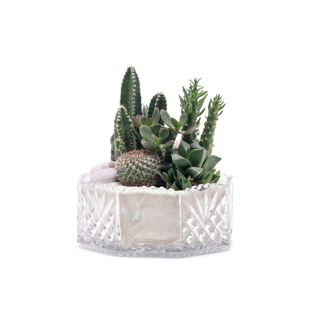 Vintage Clear Glass White - Green Garden (One-of-a-Kind)