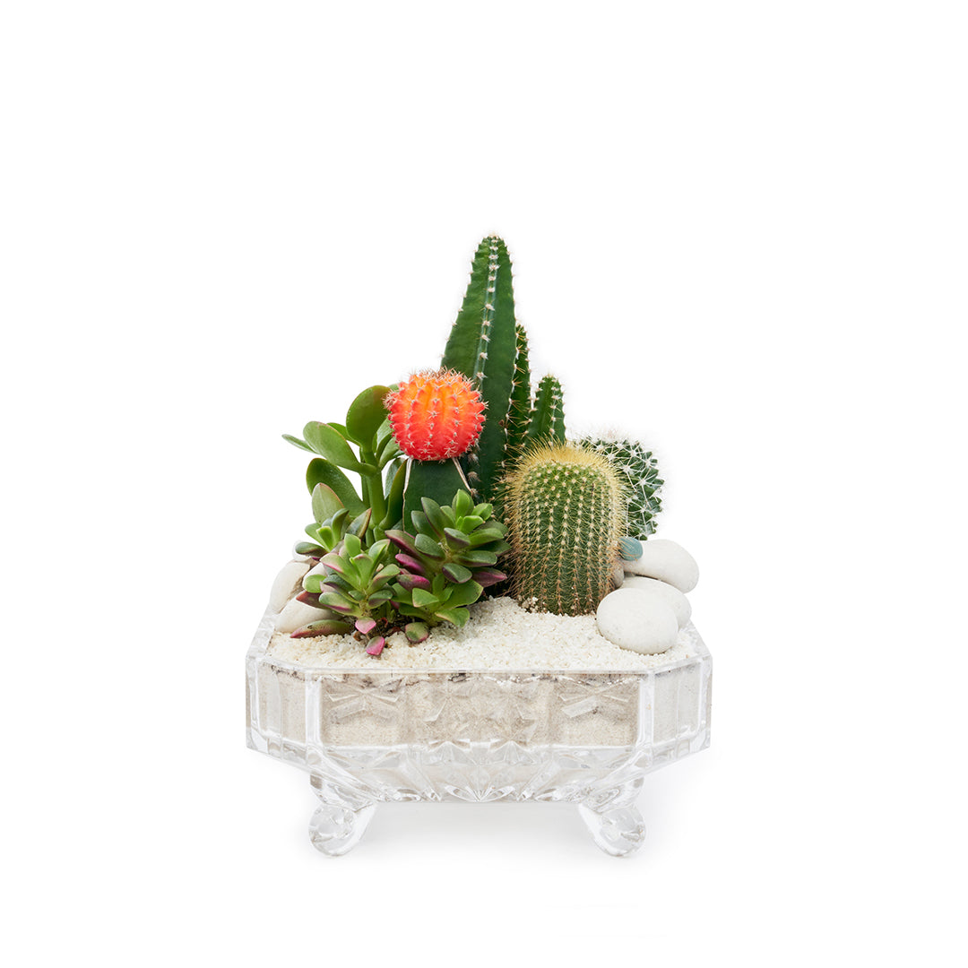 Vintage Clear Glass White - Rainbow Garden (One-of-a-Kind)