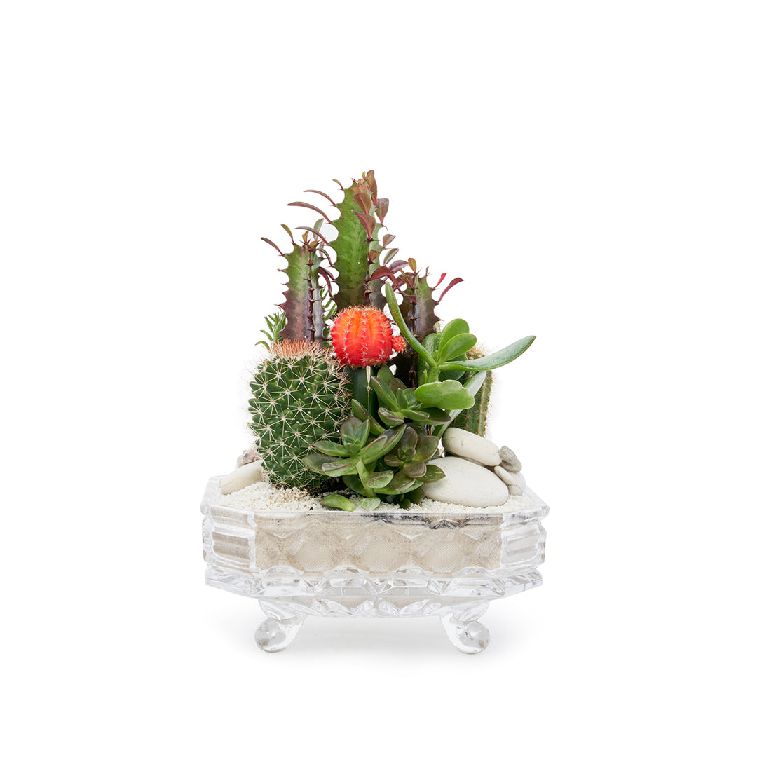 Vintage Clear Glass White - Rainbow Garden (One-of-a-Kind)