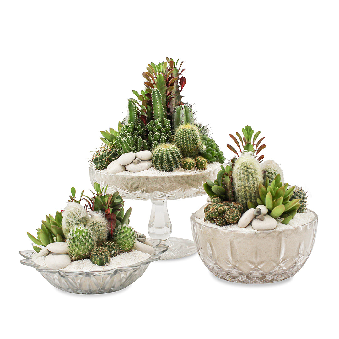 Vintage Clear Glass White - Green Garden (One-of-a-Kind)