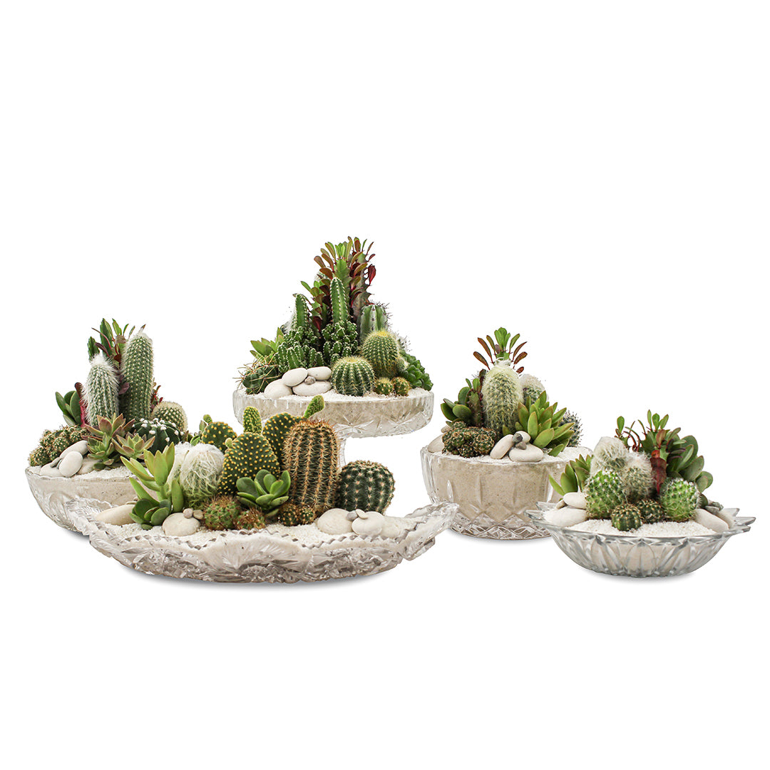 Vintage Clear Glass White - Green Garden (One-of-a-Kind)