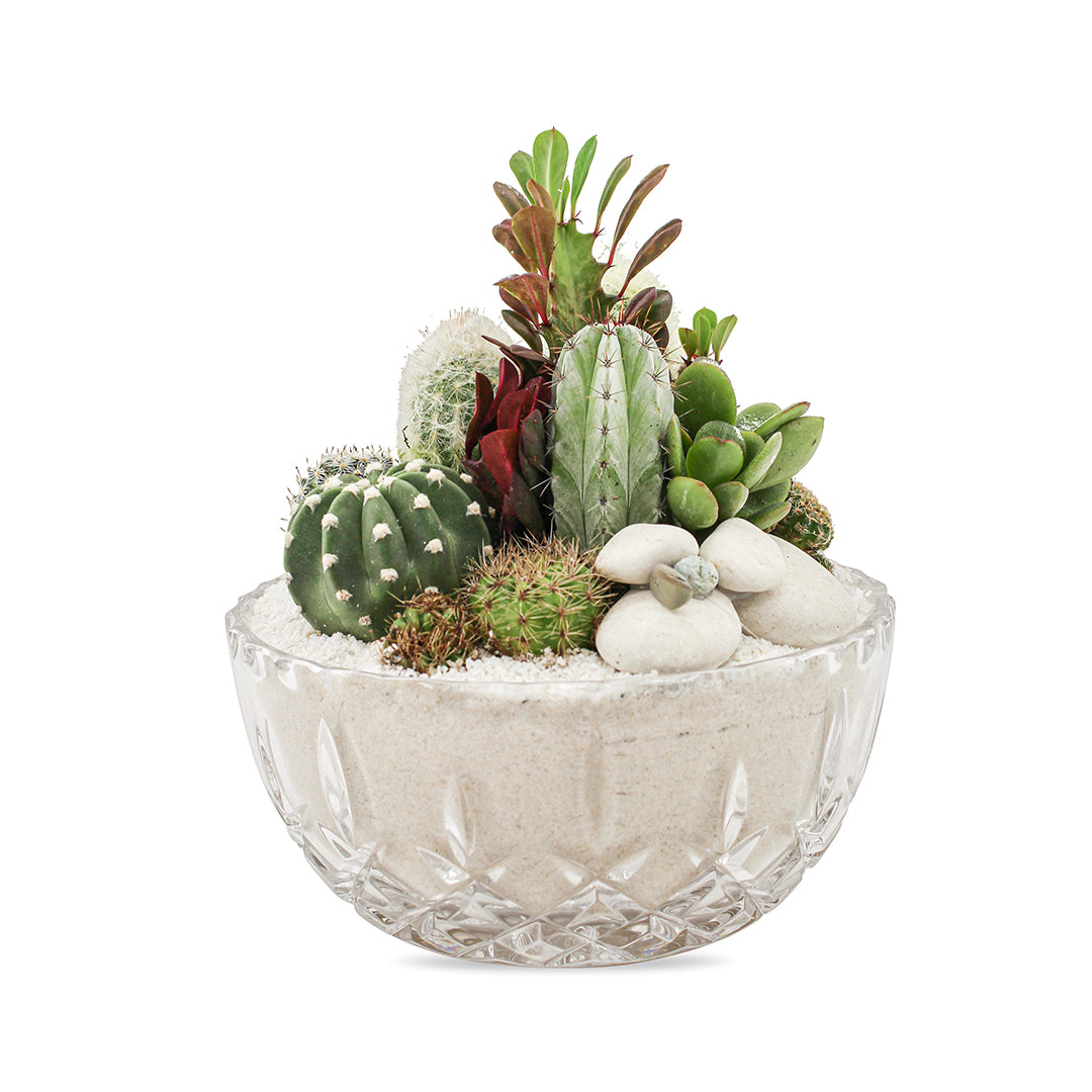 Vintage Clear Glass White - Green Garden (One-of-a-Kind)