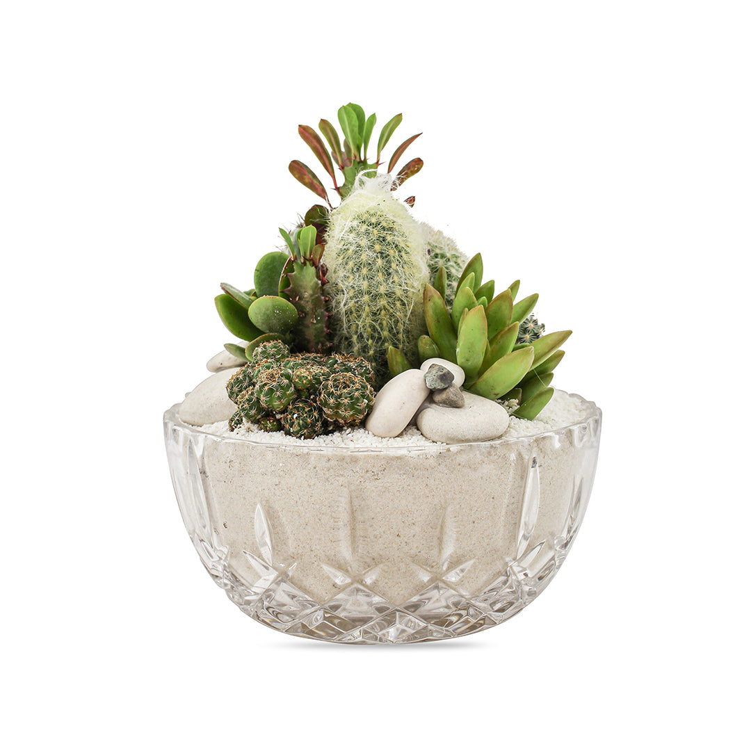 Vintage Clear Glass White - Green Garden (One-of-a-Kind)
