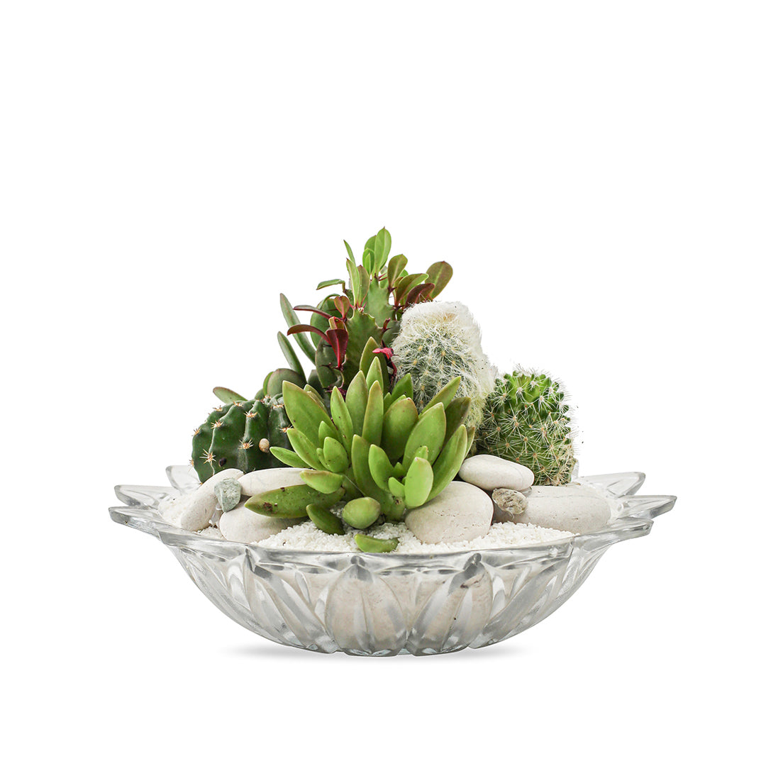 Vintage Clear Glass White - Green Garden (One-of-a-Kind)