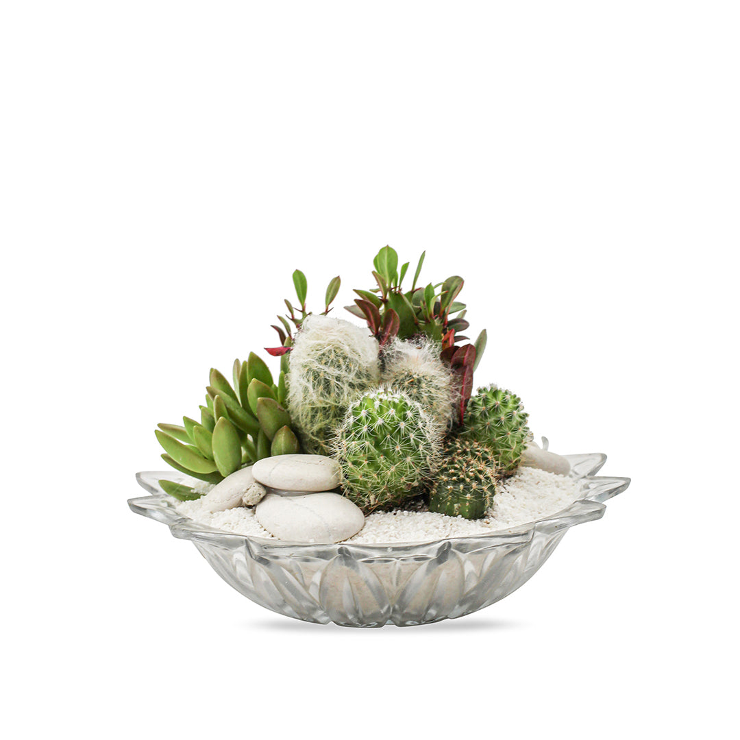 Vintage Clear Glass White - Green Garden (One-of-a-Kind)