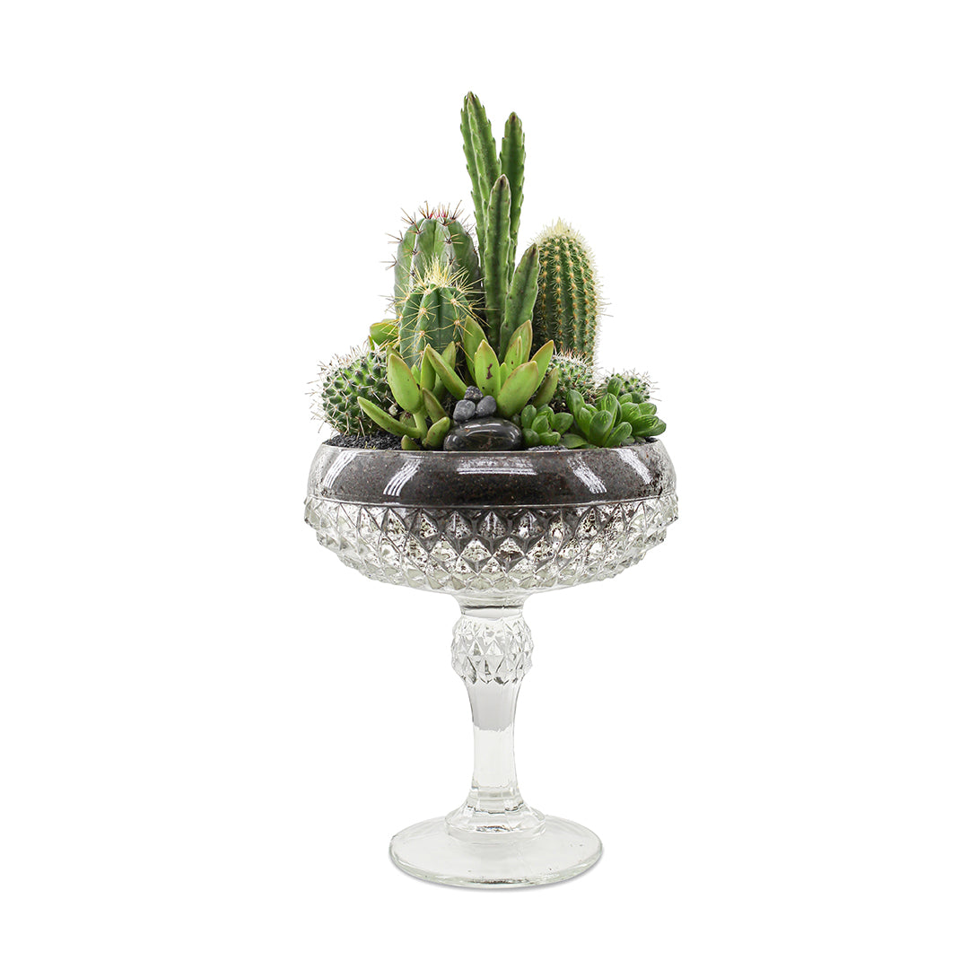 Vintage Clear Glass Black - Green Garden (One-of-a-Kind)
