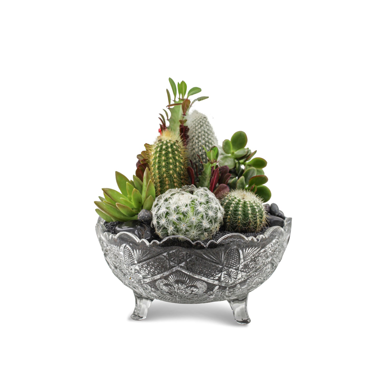 Vintage Clear Glass Black - Green Garden (One-of-a-Kind)
