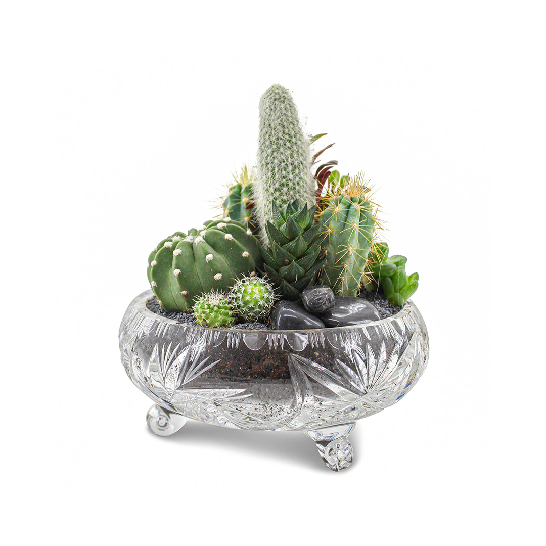 Vintage Clear Glass Black - Green Garden (One-of-a-Kind)