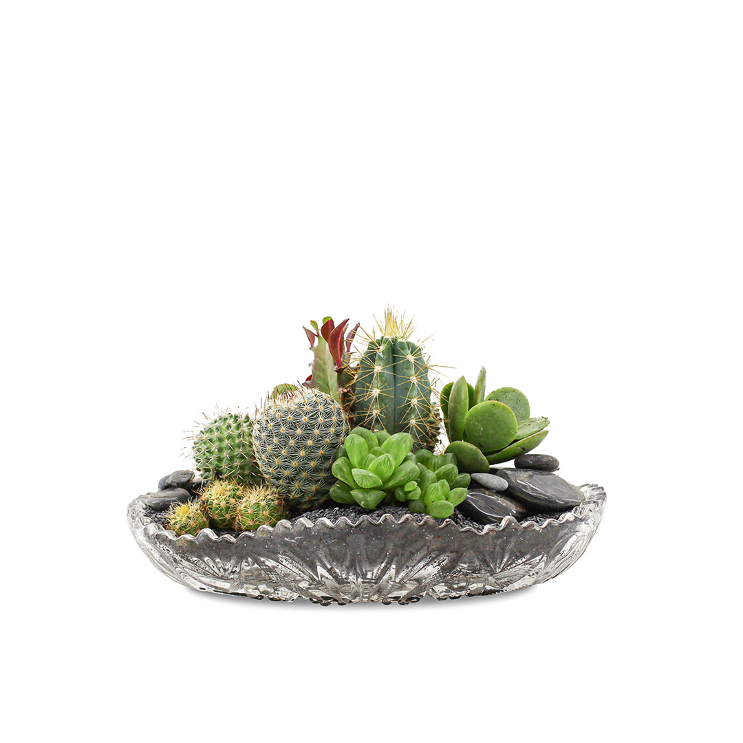 Vintage Clear Glass Black - Green Garden (One-of-a-Kind)