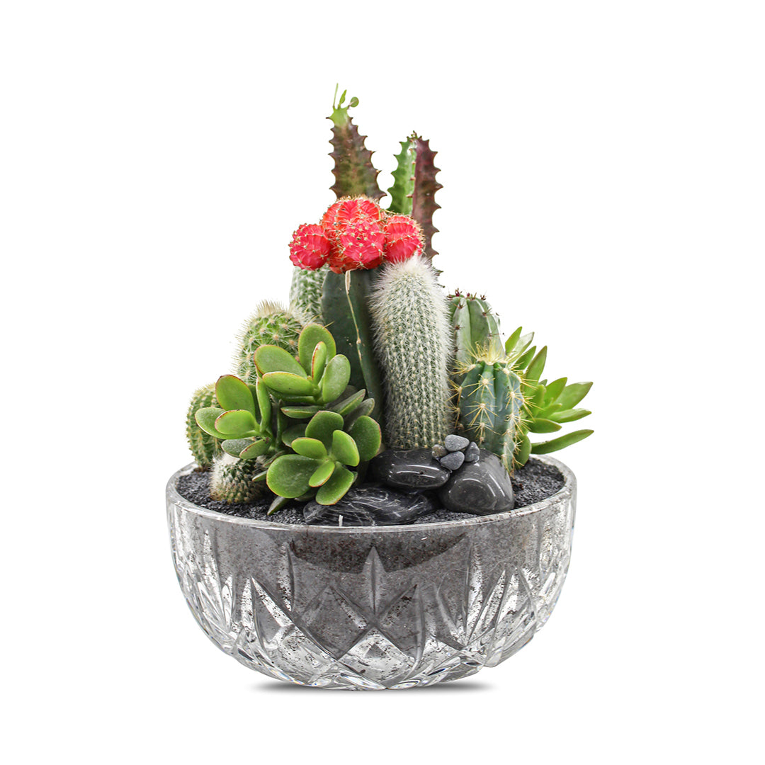 Vintage Clear Glass Black - Rainbow Garden (One-of-a-Kind)